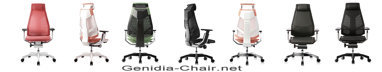 Genidia Office Chairs